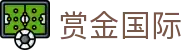 赏金国际 - 追求卓越品质与极致服务的顶尖博弈入口